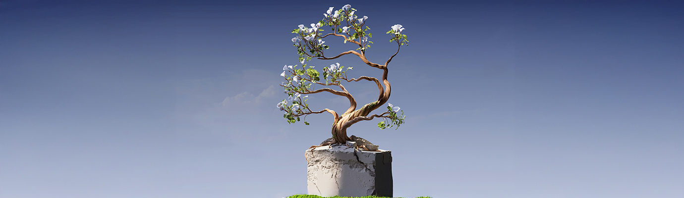 Picture painted by an AI showing a bonsai tree growing out of a concrete block