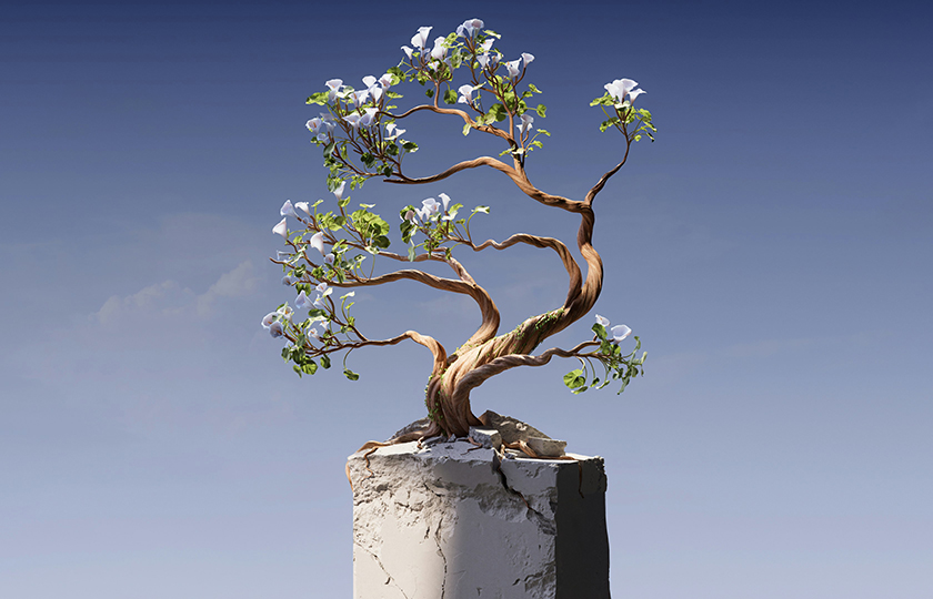 Von einer KI gemaltes Bild, das ein Bonsai-Bäumchen zeigt, das aus einem Betonklotz herauswächst