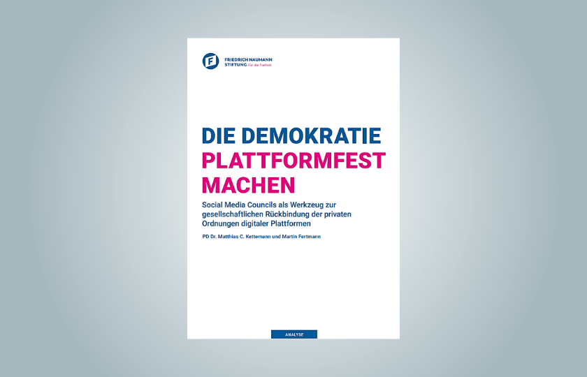 Cover der Publikation der Friedrich-Naumann-Stiftung "Die Demokratie plattformfest machen"